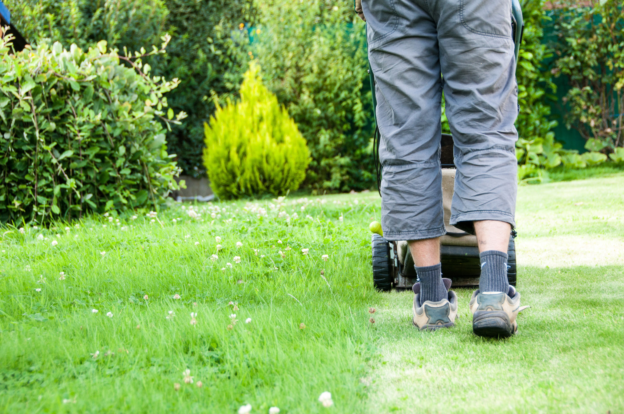 man mowing lawn