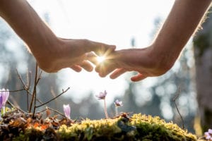 Hand Covering Flowers