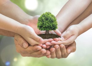 family hands holding tiny tree