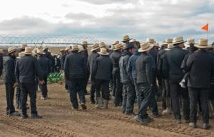 amish community