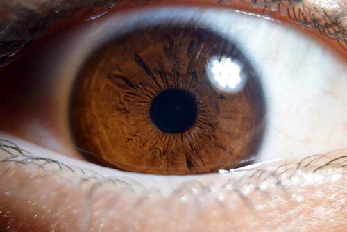 close up of brown eye