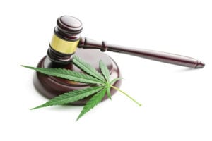 marijuana and gavel