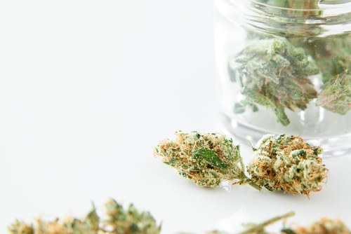 marijuana buds in jar