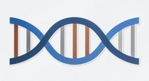DNA double helix strand icon
