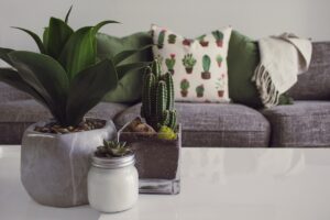 Creating a Supportive Home Environment for Recovery