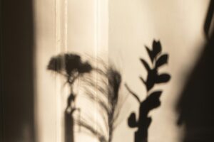 How Healing From Abusive Relationships Is Possible