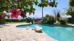 Avalon Malibu Pool