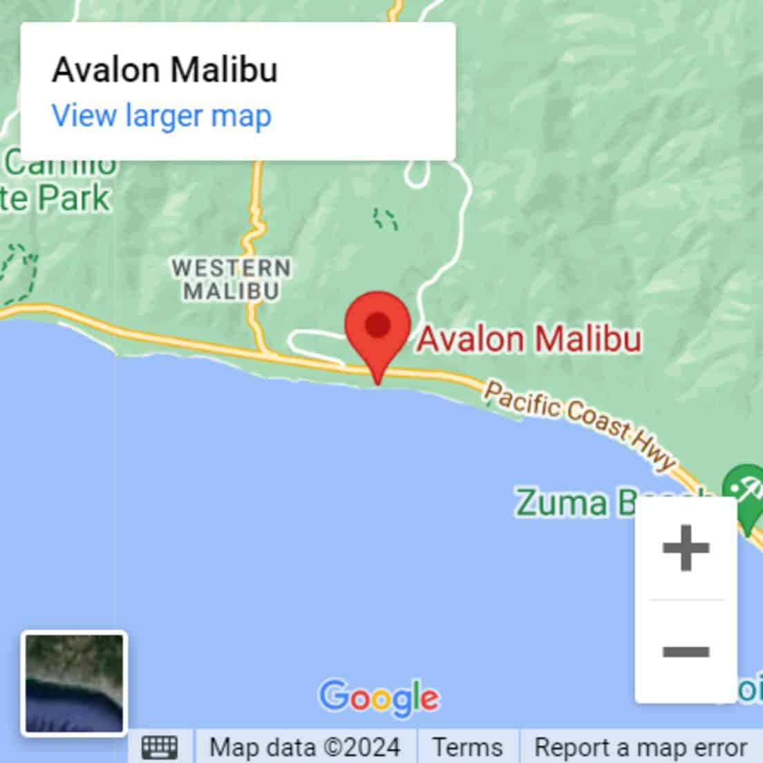 Google Map